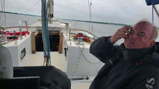 Coffee with the Dolphins