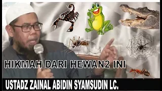 Download LUCU MENGGEMASKAN !!! Ust. Zainal Abidin Cerita Tentang Hikmah Hewan-Hewan Ini !! MP3