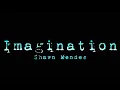 Shawn Mendes - Imagination (Lirik Lagu Terjemahan)