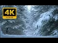 Download Lagu Winter Window View | Peaceful Snowfall Over Forest Pines in 4K