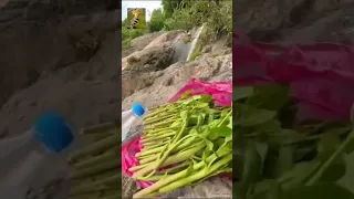 صلاح الاخفش كذاب لو قلكم ماقال دندنها