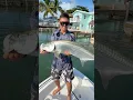 Download Lagu Tarpon Fishing in The Florida Keys !