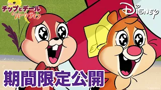 【期間限定無料公開】チップとデールのパークライフ | 断れない提案 / ゴキゲンなバケーション / リスとポリス