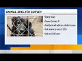 Cedar Rapids seeks community feedback on animal shelter operations