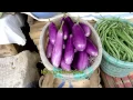 Download Lagu Minahasa markets.mp4
