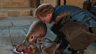 A King Rearsing A Giant Flee And Marring It To His Daughter ملك بيربي برغوت عملاق و بيجوزه بنته 