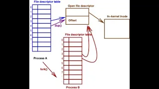 W05a Unix and Linux internals