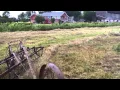 Raking hay with old three-bar International Harvester side rake 15