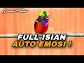 Download Lagu KONIN GACOR FULL ISIAN VARIASI TEMBAKAN TAJAM COCOK UNTUK PANCINGAN DAN MASTERAN KOLIBRI NINJA BAHAN