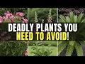7 Most Dangerous Plants You Should Never Buy from Nurseries Plus Safer alternatives