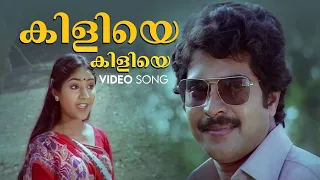 kiliye kiliye video song malayalam songs ilaiyaraaja s janaki mammotty aa rathri movie
