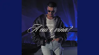 Andrei Ursu - A cui e vina