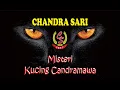 Download Lagu Kucing Candamawa Sandiwara chandra sari