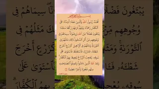 محمد الرسول الله والذين معه اشداء علي الكفار الشيخ سعد الغامدي Youtubeshorts 