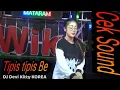 Download Lagu TIPIS TIPIS BE CEK SOUND DJ DEVI KITTY KOREA WIKA SANG PENJELAJAH SUMSEL