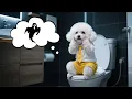 Download Lagu Kleine Puppy Raakt in Paniek als hij Alleen Thuis is😱🌙 omdat Mama Hond Laat Thuiskomt van haar Werk💼