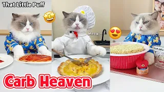 Puff's Ultimate Carb Feast Compilation🍞🍝🐱  | That Little Puff