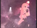 aunque te fuiste [DON OMAR]