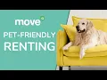 Pet-friendly Renting A Guide to Renting with Pets UK