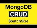 MongoDB CRUD Operations 17 batchSize