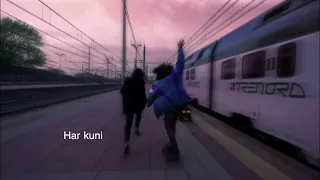                          دندنها