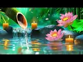 Relaxing Spa Music - Beautiful Peaceful, Calm Music, Meditation, Nature Sounds, Bamboo, Water Sounds