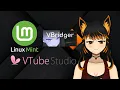 My Experience With Linux - As A VTuber