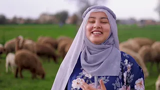 الأنشوده إلى هتصلح ما أفسدته ال   روب    دندنها