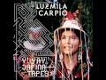 Download Lagu Luzmila Carpio - Tillpi tillpila