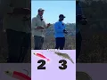Download Lagu UMPAN vs ULASAN– Mana yang CURANG? 🎣 #memancing
