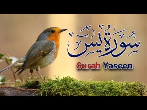 Download MP3 Most relaxing recitation of Surah Yaseen || Beautiful recitation of Surah Yaseen 11 Islamic voice