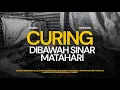 Download Lagu ini yang dinamakan curing, proses tembakau