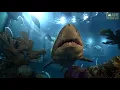 New England Aquarium in Boston