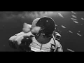 Midwinter - Chasing Butterflies [Official Visualizer]