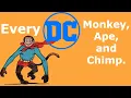Every Monkey Ape and Chimp from DC Comics