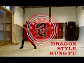 Dragon Style Kung Fu Lung Ying - Advanced form 5 horses return to the trough