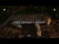 iyla - wild (slowed + reverb)