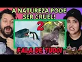Download Lagu 🔴 Quando os Animais Escolhem o Oponente Errado! Ninguém Aprendeu a Lição! Fala de Tudo // REACT