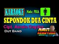 Download Lagu SEPONDOK DUA CINTA KARAOKE Nada PRIA