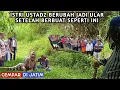 Download Lagu Jatim Merinding..!! Istri pak Ustad Ahmad Menjadi Seekor Ular Piton Raksasa Karena Ini