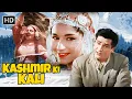 Download Lagu Kashmir Ki Kali (1964) Full Movie HD | Bollywood Evergreen Classic | Shammi Kapoor \u0026 Sharmila Tagore