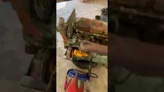                                                                                        دندنها