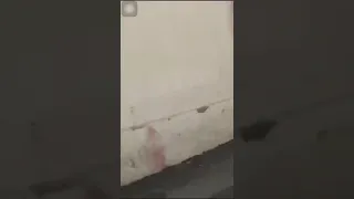 الحجات طالعين في مكه بدون عبايات سمعو بالحريه ويبغون الفله 