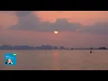 Mozart : Concerto for Piano and Orchestra No.17 in G major, K.453 / Pollini 2005