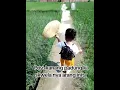 Download Lagu Init raka mo skwela ko 😂 #fyp #foryou #kids #baby #cute #sabrina