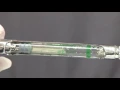 Oral Health - Oral12003