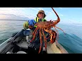 Download Lagu Dream Day Out On The Boat - Crayfish Lobster Monster Mackerel Octopus Conger Eel Crab