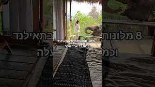 מלונות מומלצים בתאילנד וכאלה כל אחד עולה 