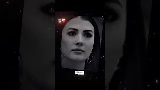 حالات واتس اب عصام صاصا حبيتك حب قولت دي التوب 2026  حالات واتس اب عصام صاصا حبيتك حب قولت دي التوب 2026