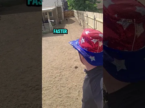 .laforteza fastest shark in world #shark #dog #bordercollie #challenge